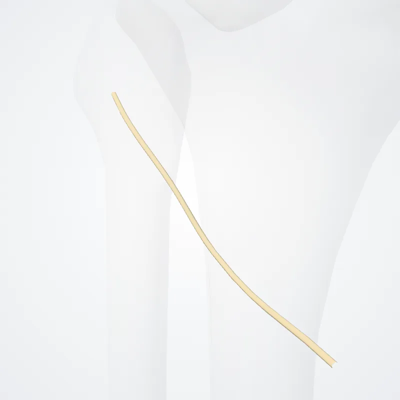 Sural communicating branch of common fibular nerve (Ramus communicans suralis nervi fibularis communis) highlighted in a 3D model of the human body