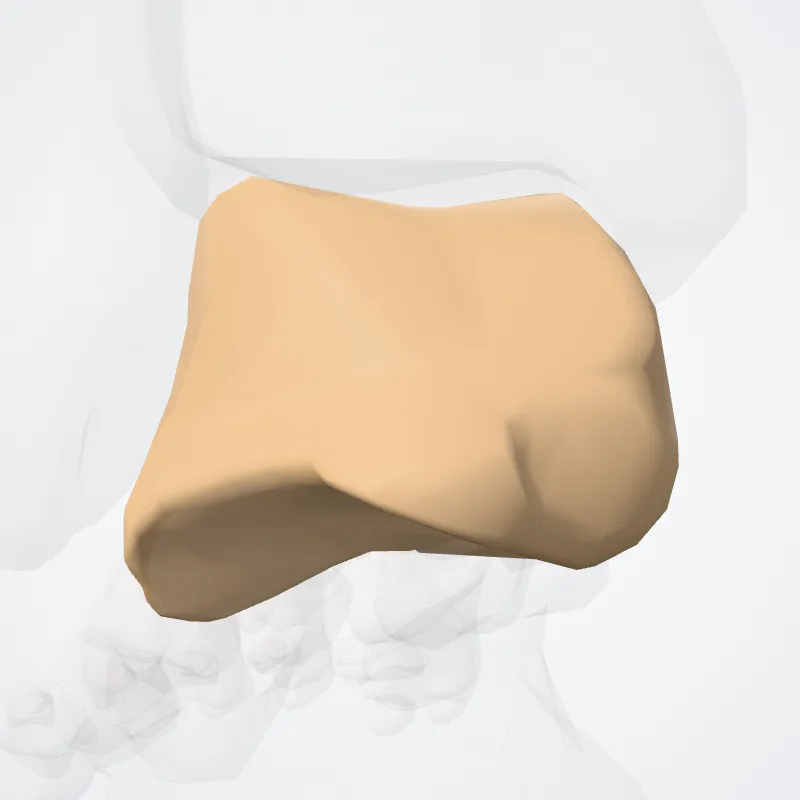 Talus, the structure this landmark is on