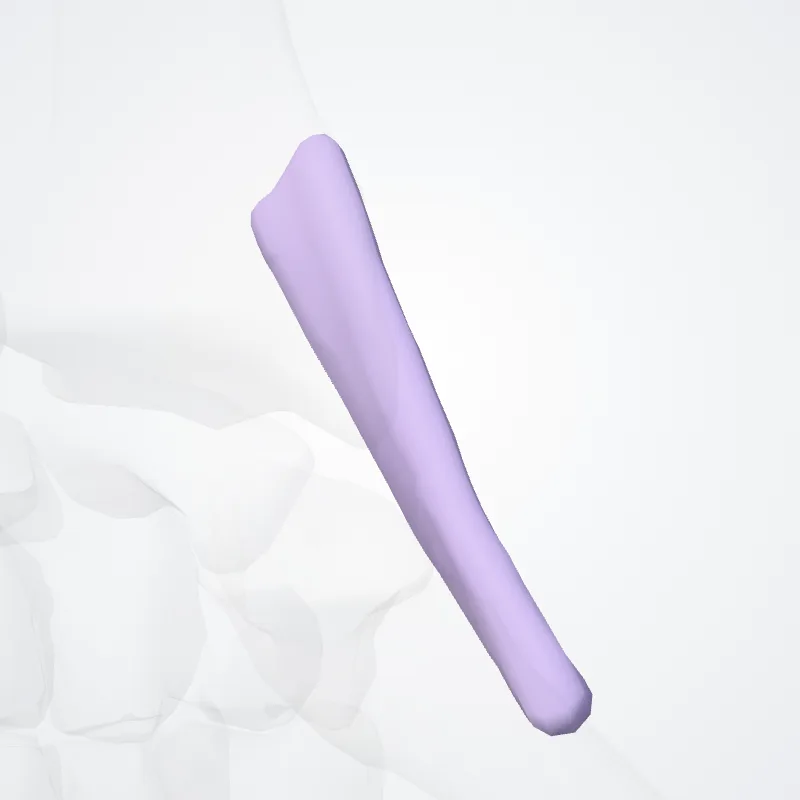 Tendon sheath - abd. pollicis longus - ext. pollicis brevis (Vagina tendinum abd. longi et extensoris brevis pollicis) highlighted in a 3D model of the human body