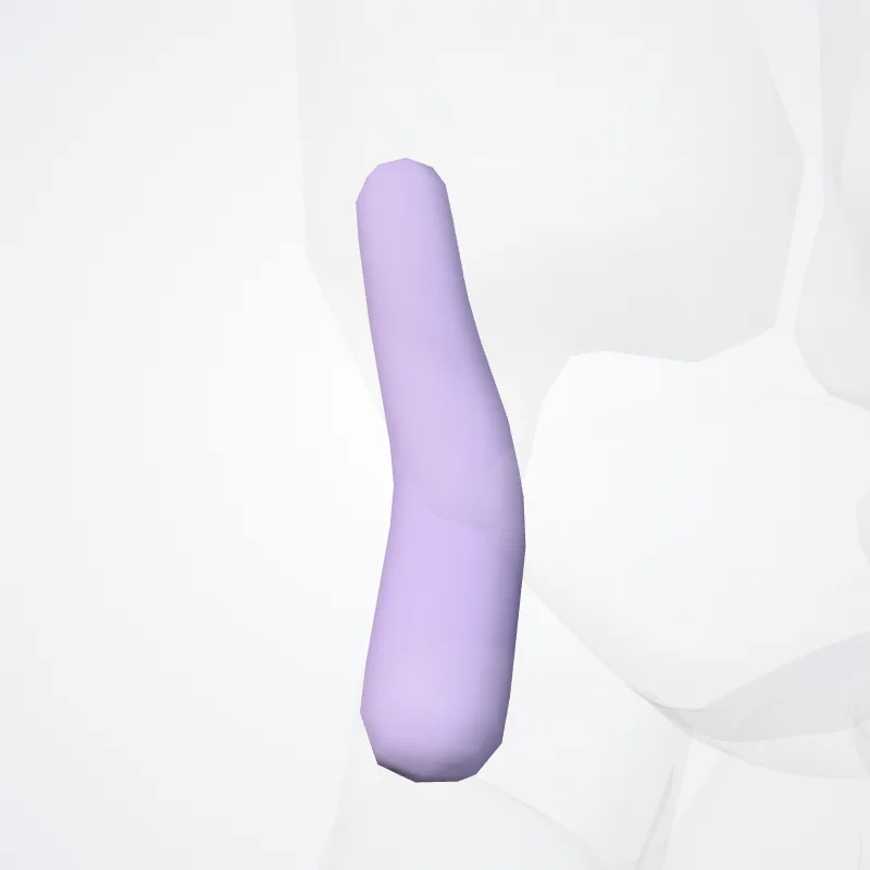 Tendon sheath of extensor carpi ulnaris (Vagina tendinis extensoris ulnaris carpi) highlighted in a 3D model of the human body