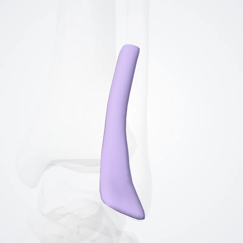 Tendon sheath of extensor digitorum longus (Vagina tendinum extensoris longi digitorum) highlighted in a 3D model of the human body