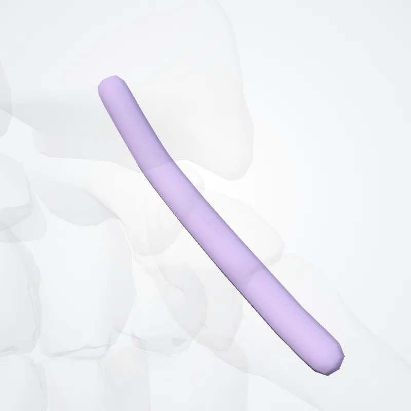 Vagina tendinis musculi extensoris pollicis longi (Tendon sheath of extensor pollicis longus) hervorgehoben in einem 3D-Modell des menschlichen Körpers