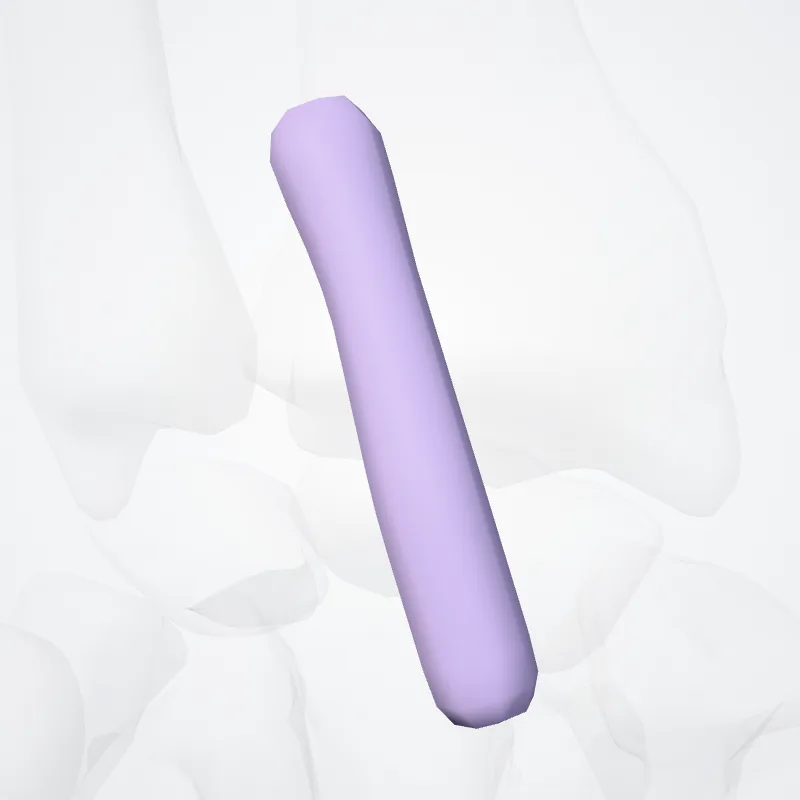 Vagina tendinis flexoris radialis carpi (Tendon sheath of flexor carpi radialis) hervorgehoben in einem 3D-Modell des menschlichen Körpers