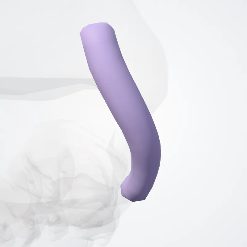 Vagina tendinis musculi tibialis posterioris (Tendon sheath of tibialis posterior muscle) hervorgehoben in einem 3D-Modell des menschlichen Körpers