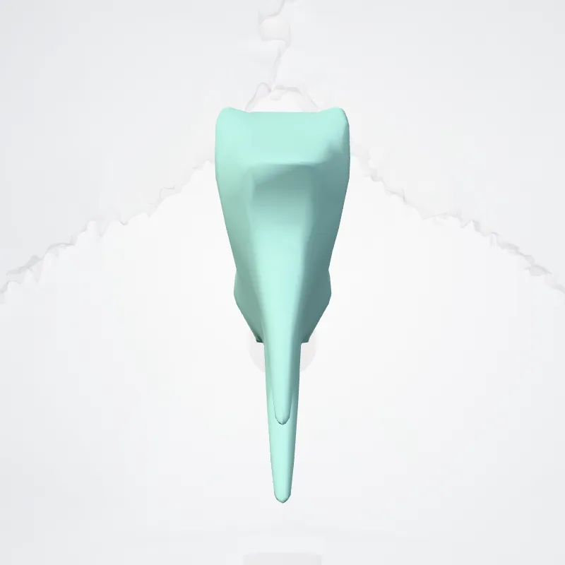 Third ventricle (Ventriculus tertius) highlighted in a 3D model of the human body