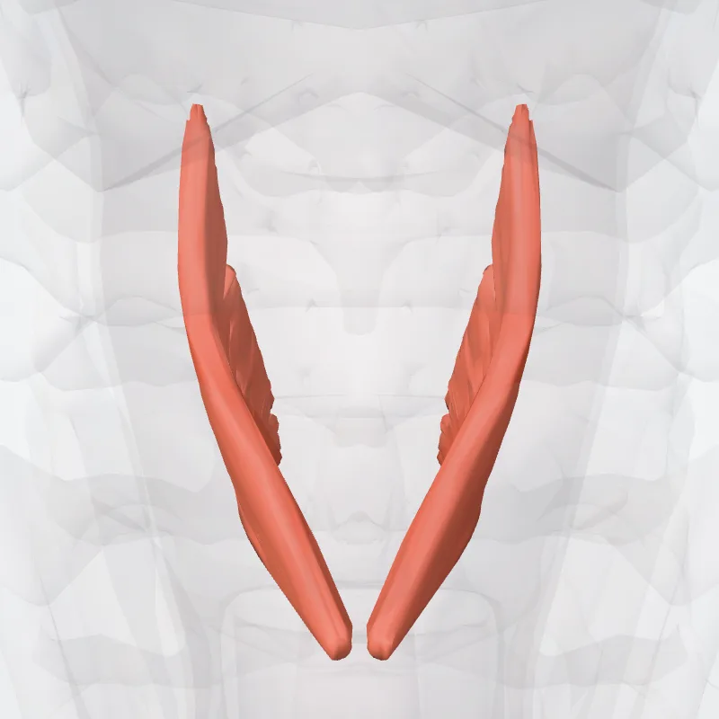 Thyro-epiglottic part of thyro-arytenoid muscle (Pars thyreoepiglottica musculi thyreoarytenoidei) highlighted in a 3D model of the human body