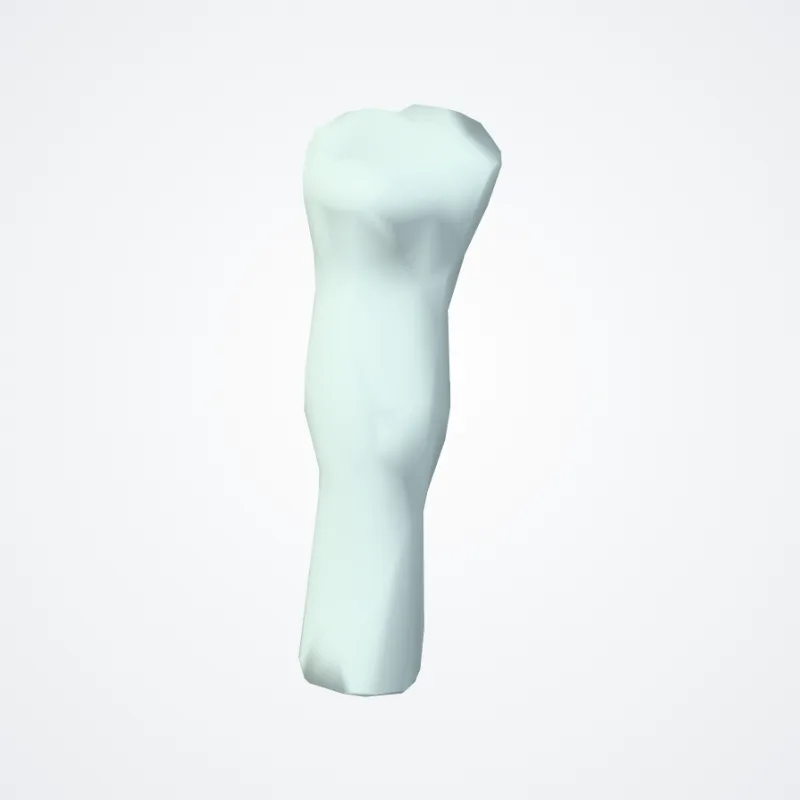 Membrana thyreohyoidea (Thyrohyoid membrane) hervorgehoben in einem 3D-Modell des menschlichen Körpers