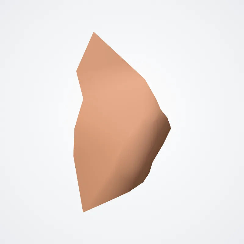 Tragus highlighted in a 3D model of the human body