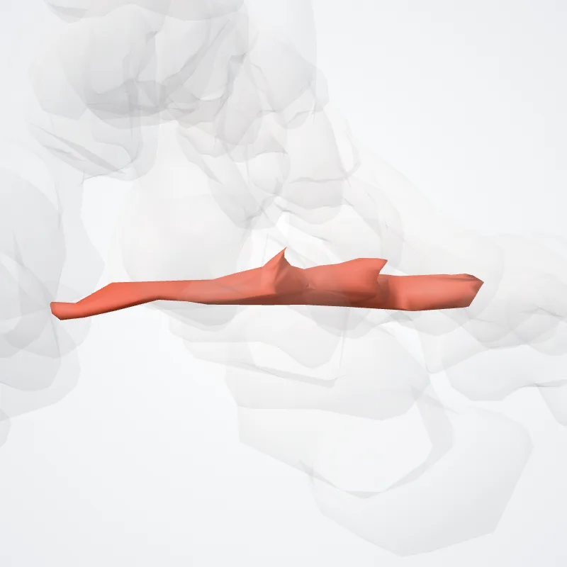 Transverse head of adductor hallucis (Caput transversum adductoris hallucis) highlighted in a 3D model of the human body