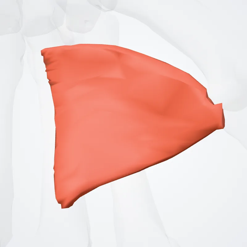 Caput transversum adductoris pollicis (Transverse head of adductor pollicis) hervorgehoben in einem 3D-Modell des menschlichen Körpers