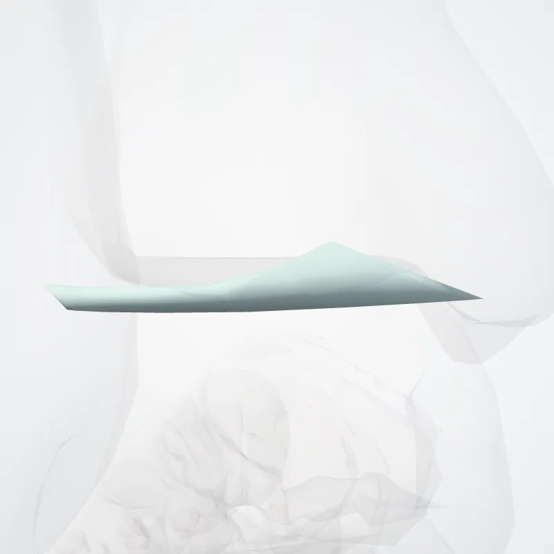 Ligamentum tibiofibulare transversum (Transverse tibiofibular ligament) hervorgehoben in einem 3D-Modell des menschlichen Körpers
