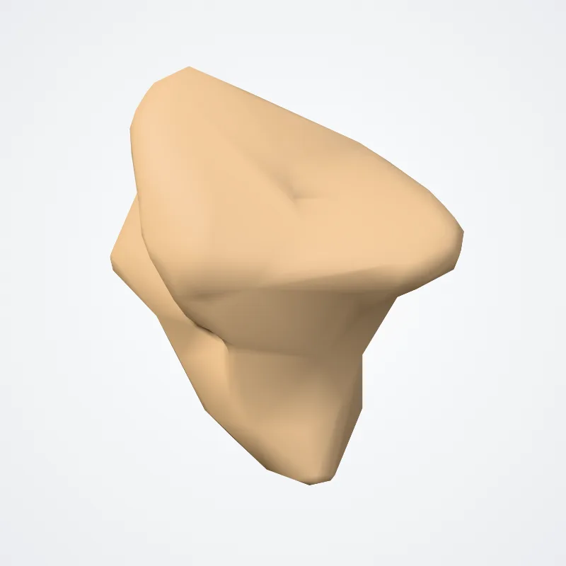 Os trapezium (Trapezium bone) hervorgehoben in einem 3D-Modell des menschlichen Körpers