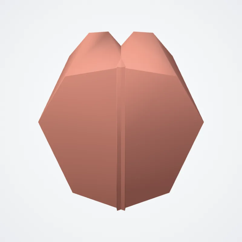Tuberculum labii superioris (Tubercle of upper lip) hervorgehoben in einem 3D-Modell des menschlichen Körpers