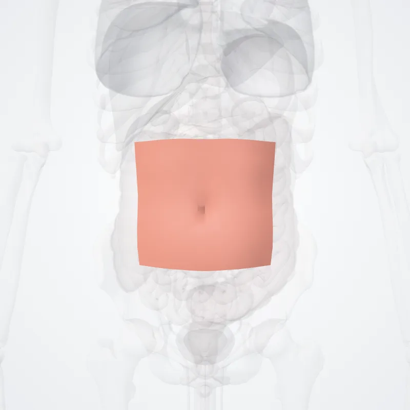 Regio umbilicalis (Umbilical region) hervorgehoben in einem 3D-Modell des menschlichen Körpers
