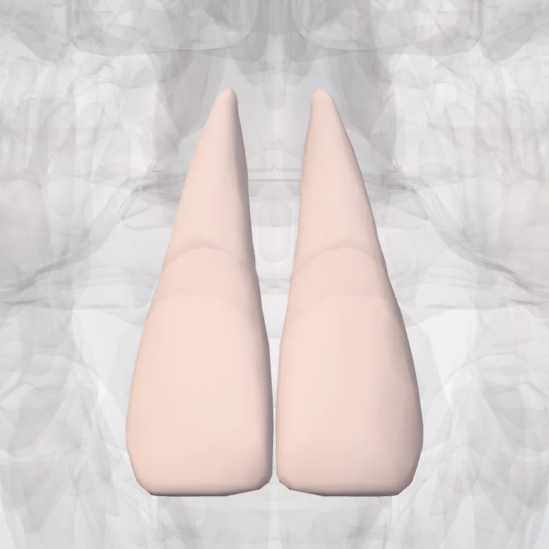 Dens incisivus medialis superioris (Upper medial incisor) hervorgehoben in einem 3D-Modell des menschlichen Körpers