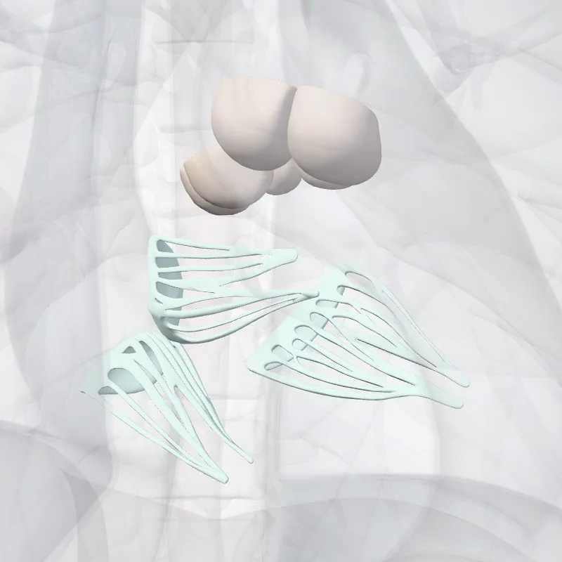 Valvular complex of heart (Complexus valvularis cordis) highlighted in a 3D model of the human body