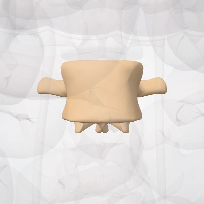 Vertebra L3, the structure this landmark is on