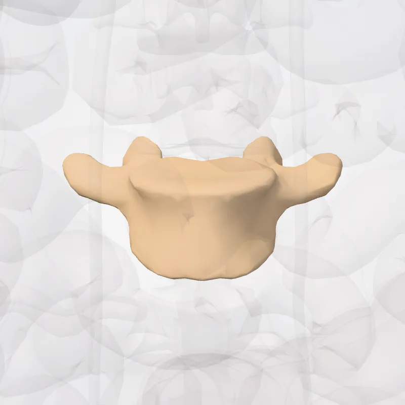 Vertebra L5 (Vertebra lumborum V) highlighted in a 3D model of the human body