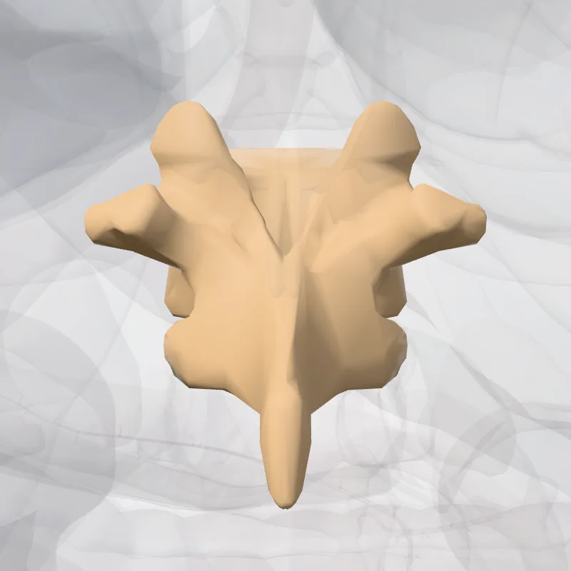 Vertebra thoracis XI (Vertebra T11) hervorgehoben in einem 3D-Modell des menschlichen Körpers