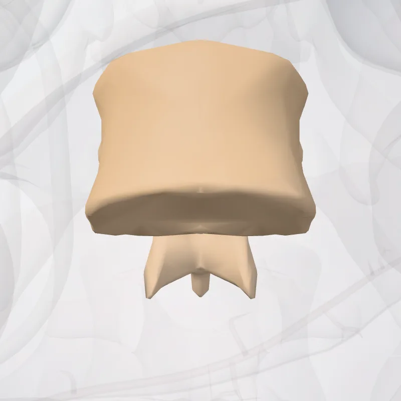 Vertebra thoracis XII (Vertebra T12) hervorgehoben in einem 3D-Modell des menschlichen Körpers