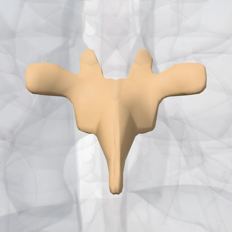 Vertebra T6 (Vertebra thoracis VI) highlighted in a 3D model of the human body