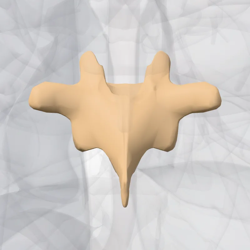 Vertebra thoracis VII (Vertebra T7) hervorgehoben in einem 3D-Modell des menschlichen Körpers