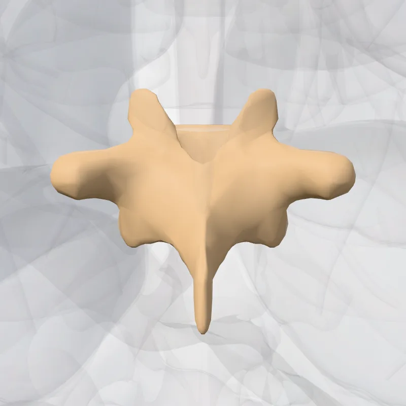 Vertebra thoracis IX (Vertebra T9) hervorgehoben in einem 3D-Modell des menschlichen Körpers