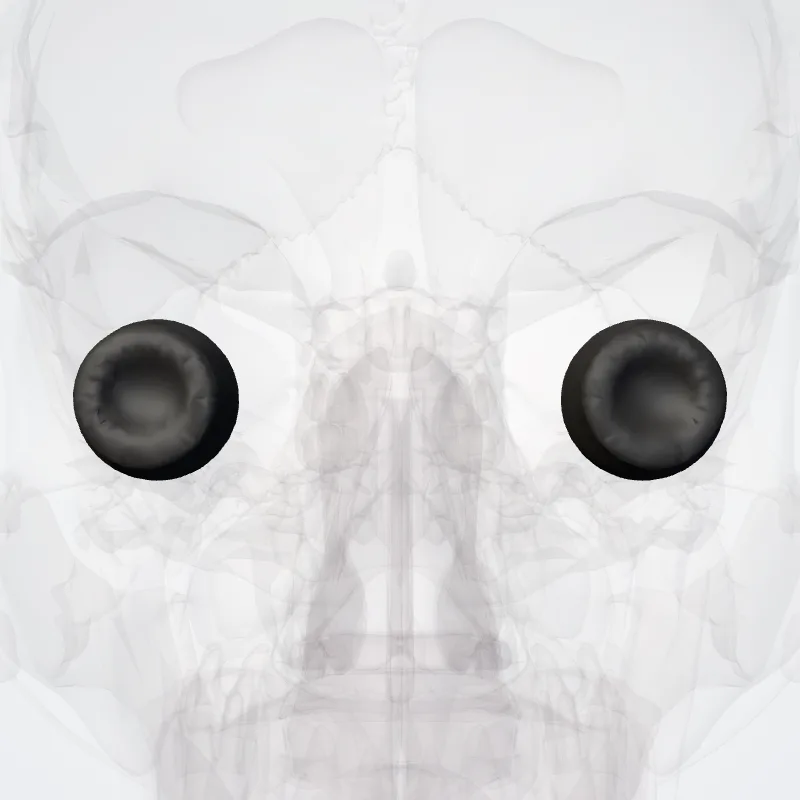 Corpus vitreum (Vitreous body) hervorgehoben in einem 3D-Modell des menschlichen Körpers