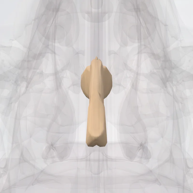 Vomer highlighted in a 3D model of the human body